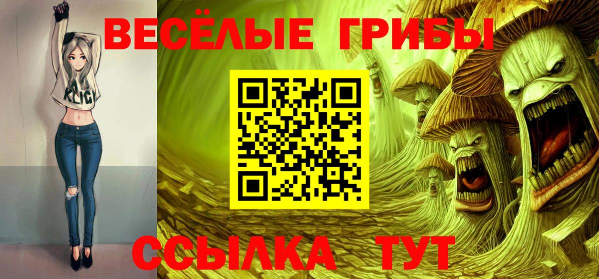 Псилоцибиновые грибы GOLDEN TEACHER Кашира
