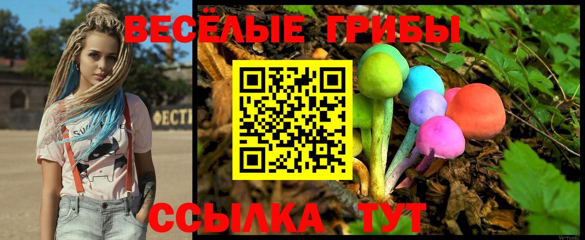 Кашира  Галлюциногенные грибы MAGIC MUSHROOMS  Вход с VPN  Псилоцибиновые грибы Psilocybe 